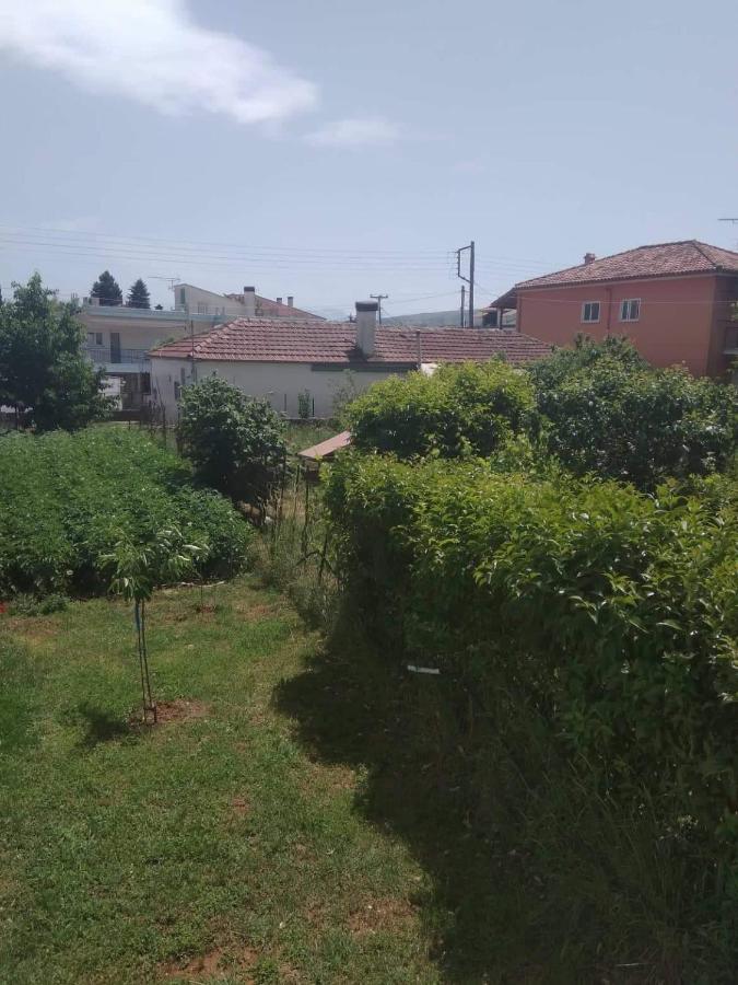 Dream House Ioannina Apartment Exterior photo